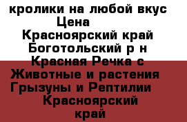 кролики на любой вкус › Цена ­ 400 - Красноярский край, Боготольский р-н, Красная Речка с. Животные и растения » Грызуны и Рептилии   . Красноярский край